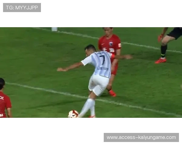 维尔茨禁区外起脚低射，皮球直入波鸿球门远角